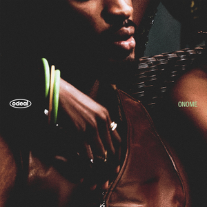 成年人福利视频
