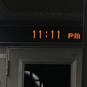 成年人福利视频
