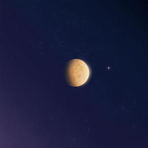 成年人福利视频
