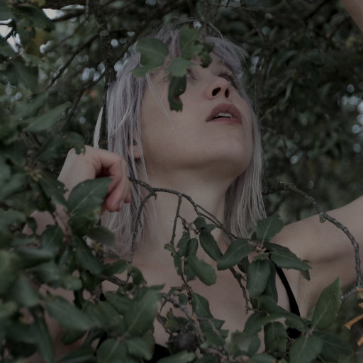 成年人福利视频
